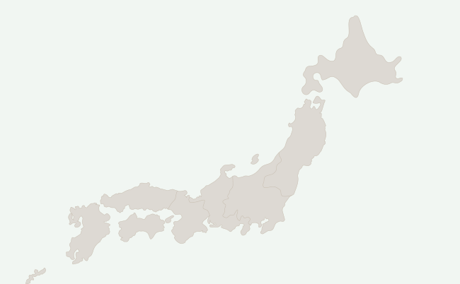 Domestic operating bases.