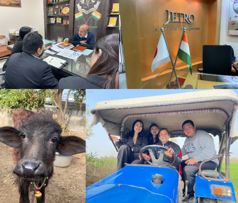 インド出張レポート2