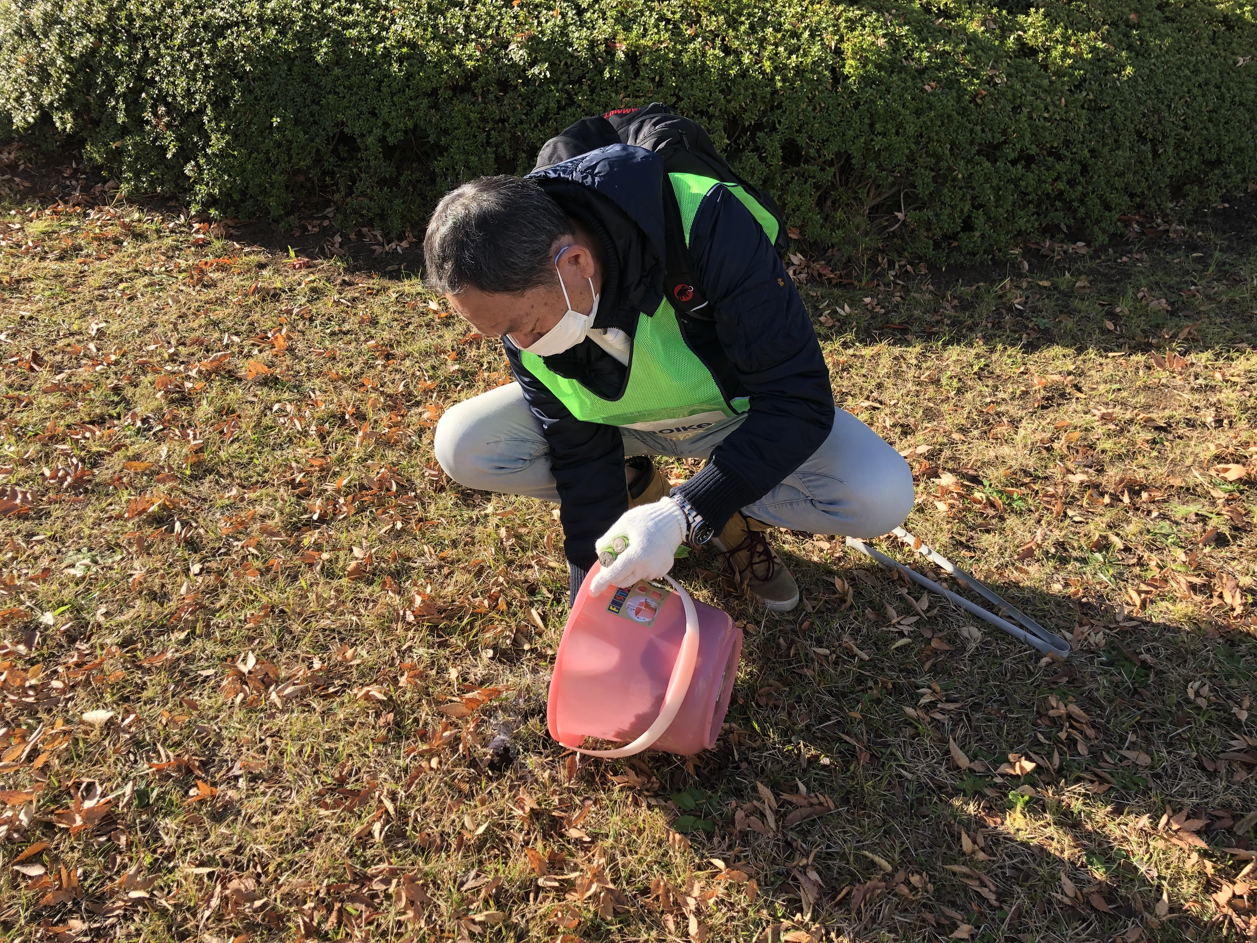 桜の木周辺への施肥