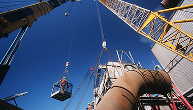 Providing integrated services from manufacturing to plant installation, and maintenance